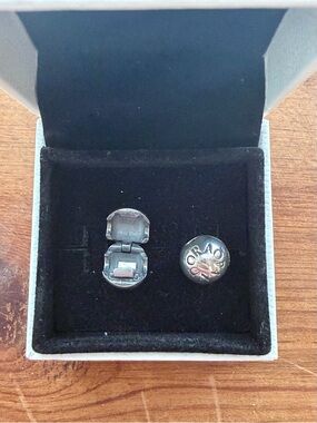 Pandora Signature Logo Silver Clip On Charm (Set of 2)